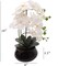 2-Pack White Phalaenopsis Orchid | Elegant Faux Orchids in 7" Black Pots – Lifelike Decor for Home & Office